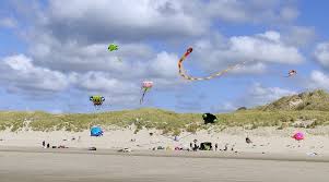 berck sur mer conciergerie airbnb et booking